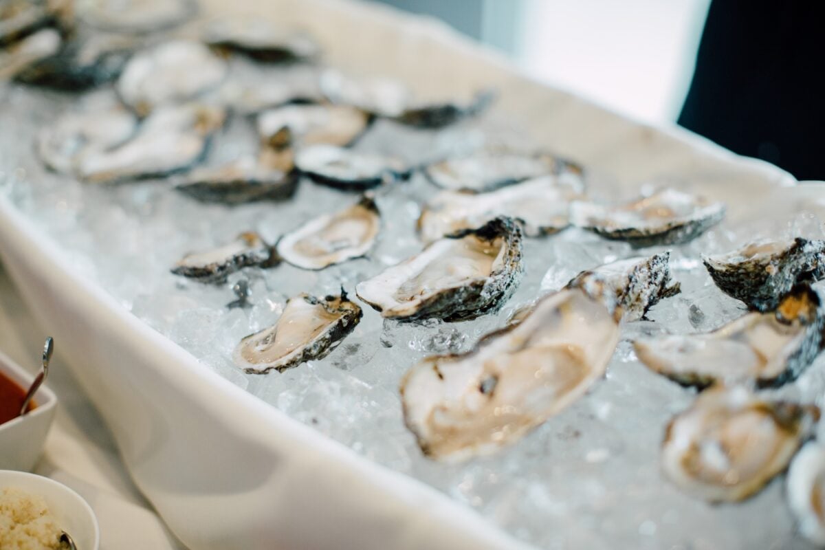 oysters on ice 2024 12 02 09 43 17 utc - Charbroiled Oysters, Eating Oysters, Gulf Oysters, New Orleans Seafood, Nutritional Benefits of Oysters, Oyster Health Benefits