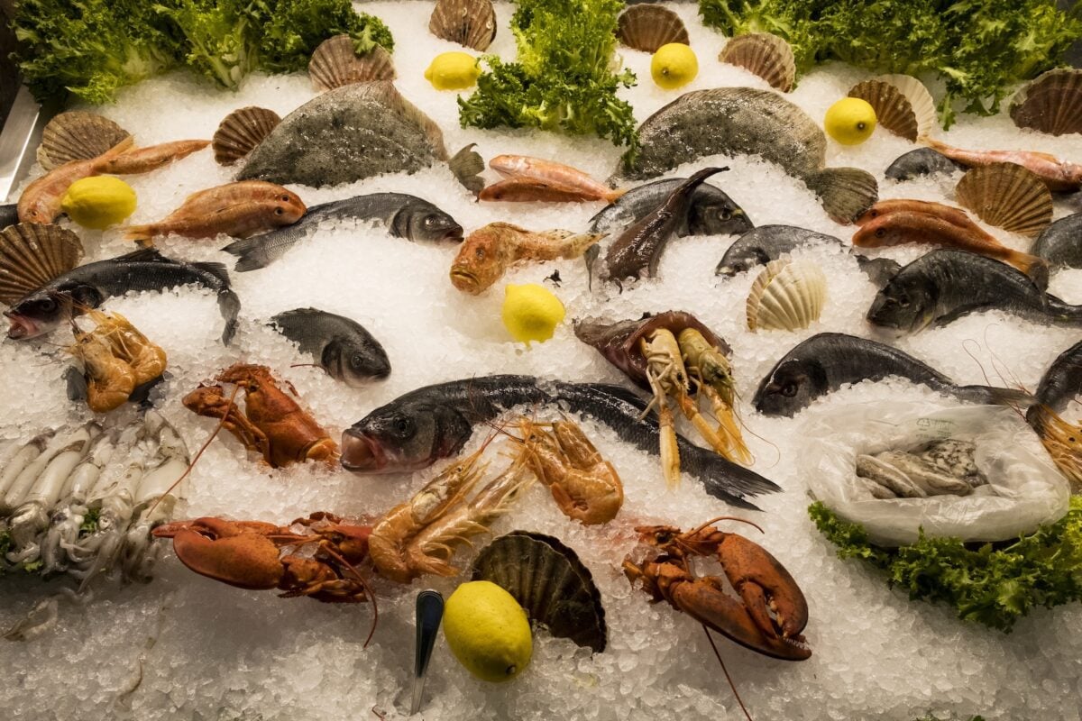 high angle close up of a selection of fresh fish a 2025 04 03 12 42 35 utc - Creole Cuisine, French Quarter Restaurant, Fresh Oysters, Gulf Seafood, Local Ingredients, New Orleans Food