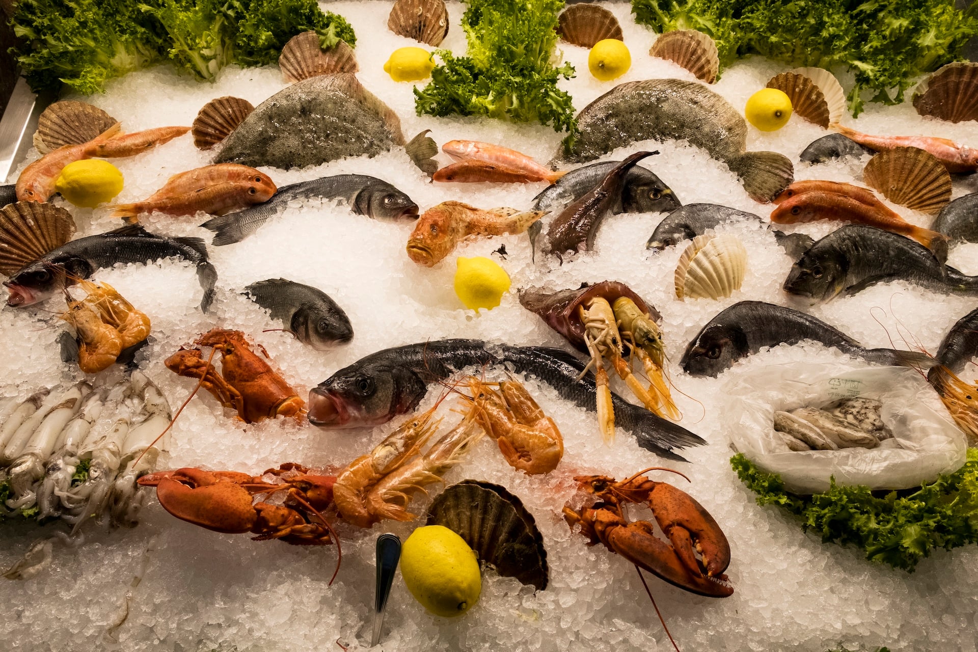 high angle close up of a selection of fresh fish a 2025 04 03 12 42 35 utc - Local NOLA Food & Travel Guides