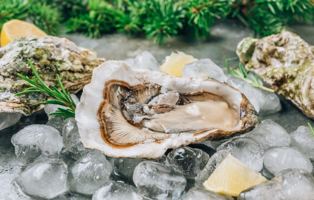 Fresh raw oyster on ice with lemon slices