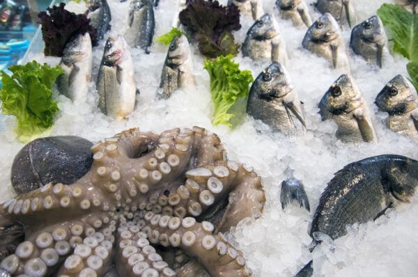 Seafood Storage & Freshness: What You Need to Know 5 Fresh octopus and whole fish on ice in a seafood market display.