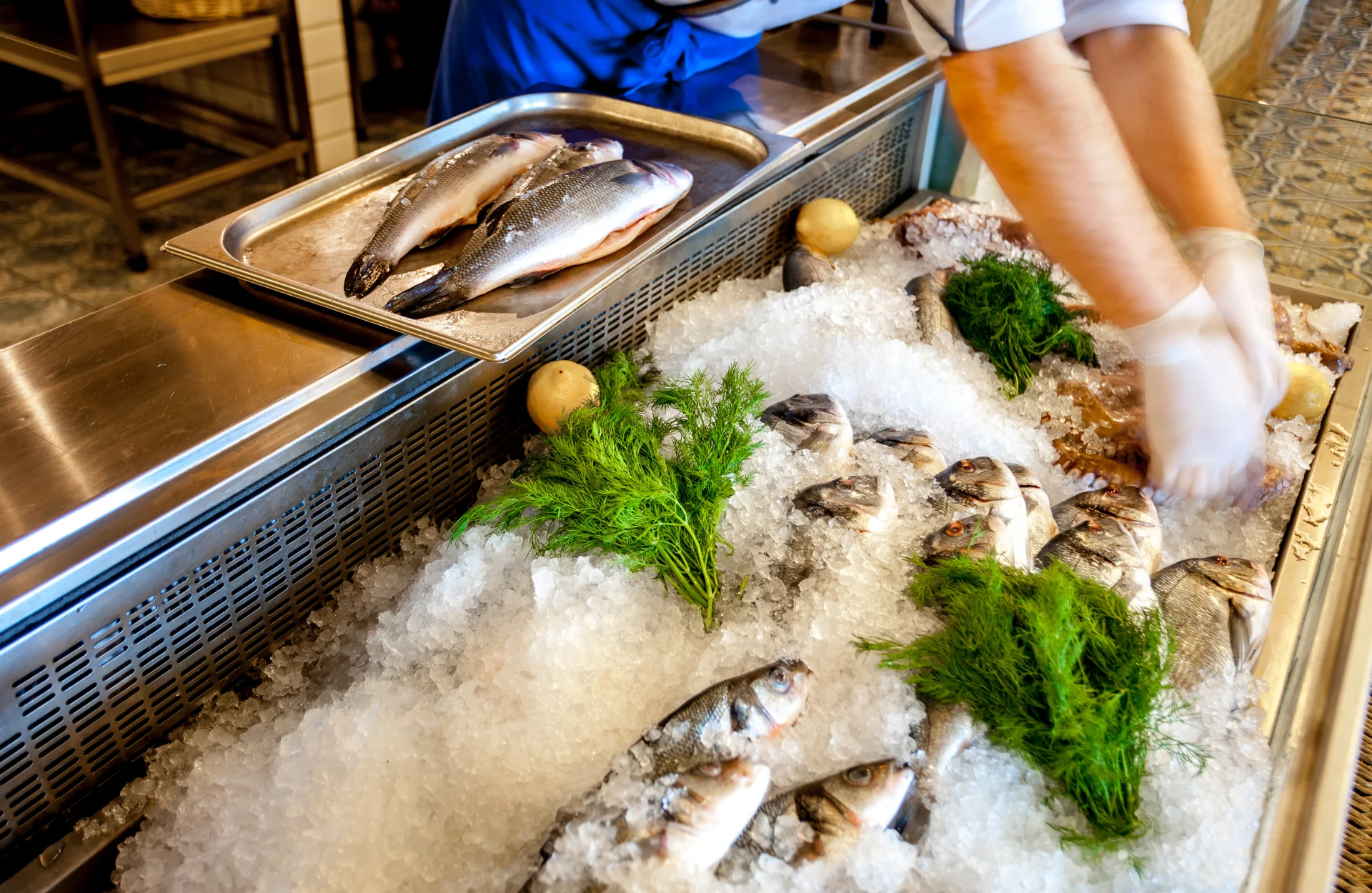 Fresh fish on ice at a seafood market counter.