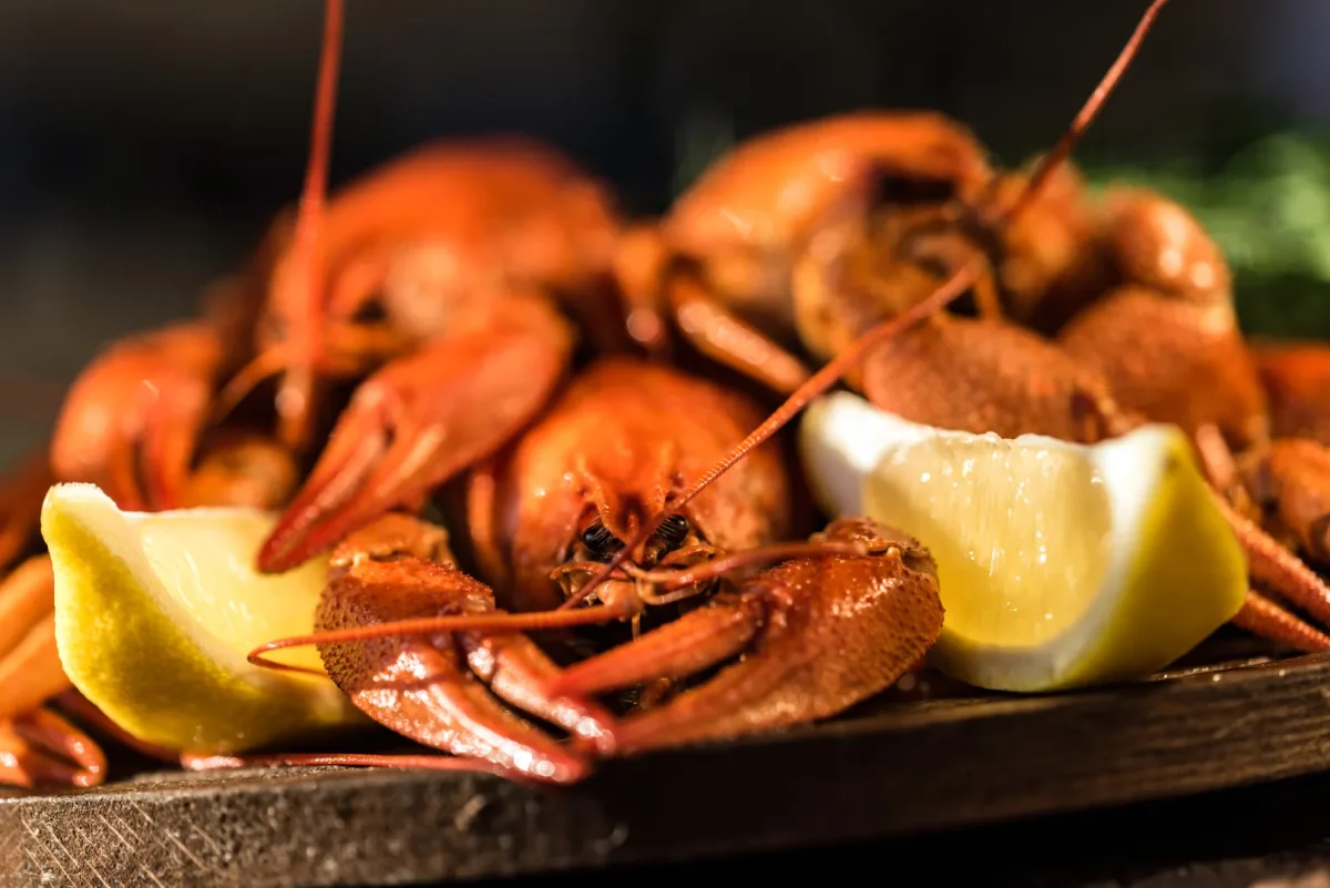Boiled Louisiana crawfish with lemon wedges on a rustic wooden board