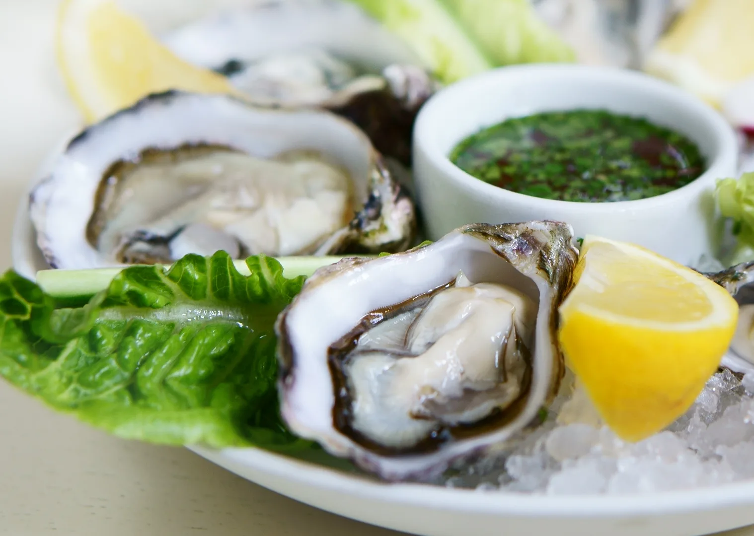 Fresh raw oysters on ice with lemon and herb dipping sauce, perfect cocktail pairing