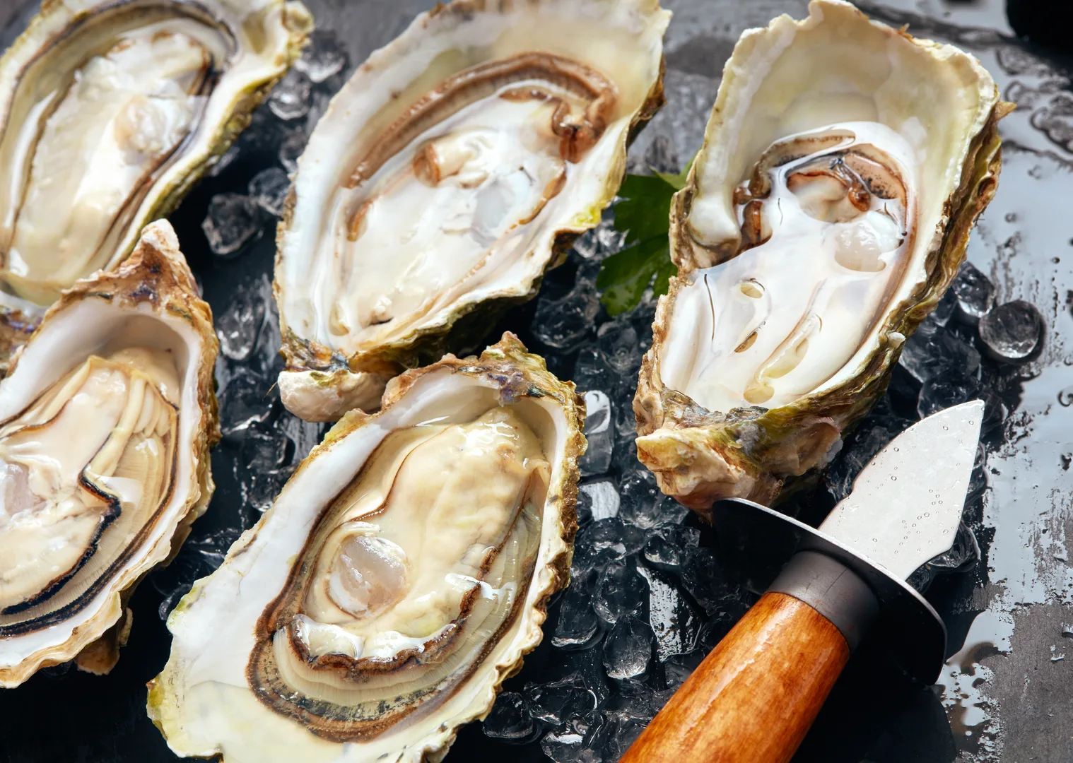 Fresh raw oysters on the half shell with shucking knife on crushed ice